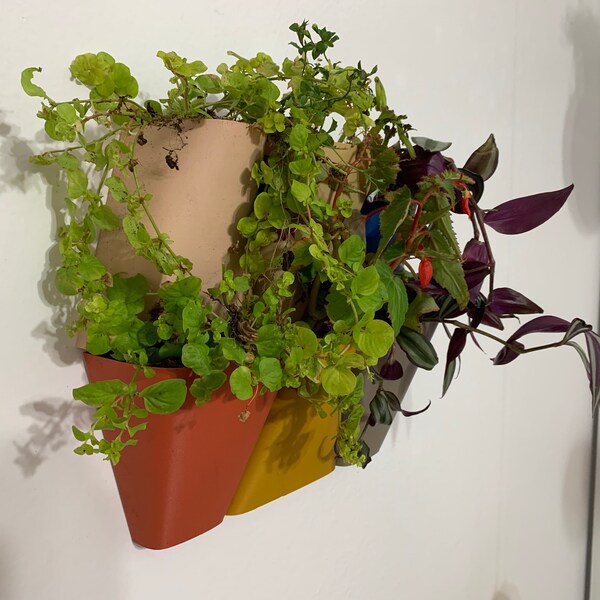 Hanging Wall Planter Etsy