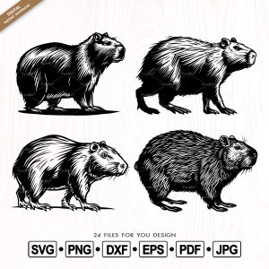 Capybara SVG, Capybara Vector Clipart Design Png Eps Dxf, Svg files for cricut, Capybara Silhouette, Wildlife Animals Svg, Capybara Bundle.