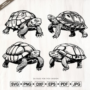 May include: Four black and white silhouette images of tortoises. Each tortoise is facing a different direction. The tortoises are in a square format.