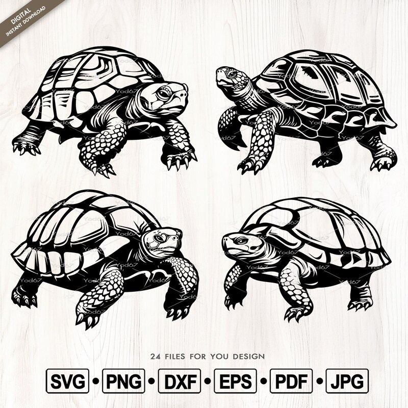Vector Land Turtle Land Turtle Clipart - Etsy Ireland