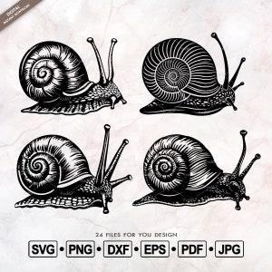 Slak SVG, slak Vector Clipart Design Eps Png Dxf Pdf, slak Cricut, slak silhouet Svg, reptiel Svg, slak gesneden bestanden, slak afdrukbaar.