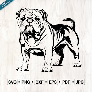 Bulldog SVG, PNG, DXF, Eps, Pdf, Cut File Bulldog for Cricut, Bulldog Silhouette Svg, Bulldog Vector Clipart Design, Dog svg, Pet Clipart.