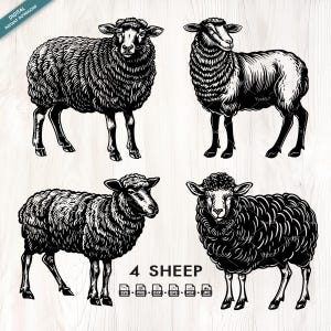 Sheep SVG, Png, 4 Sheep Silhouette Svg, Sublimation Design, Standing Sheep Vector Clipart, Farm Animals, Sheep printable, Digital download.