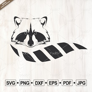Raccoon Head and Tail SVG, Svg files for cricut, Raccoon Png, Raccoon Silhouette Svg, Wildlife Animals Clipart Vector, Cnc laser cutting.