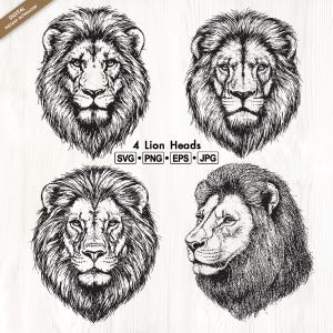 Lion head SVG, Male lion PNG, Lion Face Silhouette, Lion Vector Clipart, Sublimation Design, Lion sketch, Wildlife Animals, Digital download