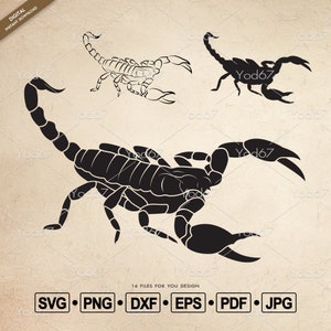Scorpion Svg, Scorpion PNG, Scorpion Svg Cutting File for Cricut, Insects SVG, Scorpion Clipar Vector EPS, Dxf, Scorpion Print T-shirt Eps.