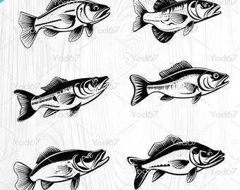 Bass fish SVG, Bass fish Png, Fishing Svg, Bass fish for Cricut, Bass fish Silhouette, Bass fish bundle, Bass fish Clipart, Fish Vector EPS.