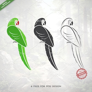 Parrot svg file, Parrot Png, Parrot Svg For T-shirt Design, Parrot Silhouette Svg, Parrot Vector Clipart Design, Parrot Lover, Bird svg, Pet