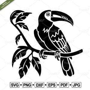 Toucan Vector Clipart SVG PNG, Cut File Toucan for Cricut, Toucan Bird Silhouette, Toucan On Branch, Sublimation Design, Bird Svg, Wildlife.