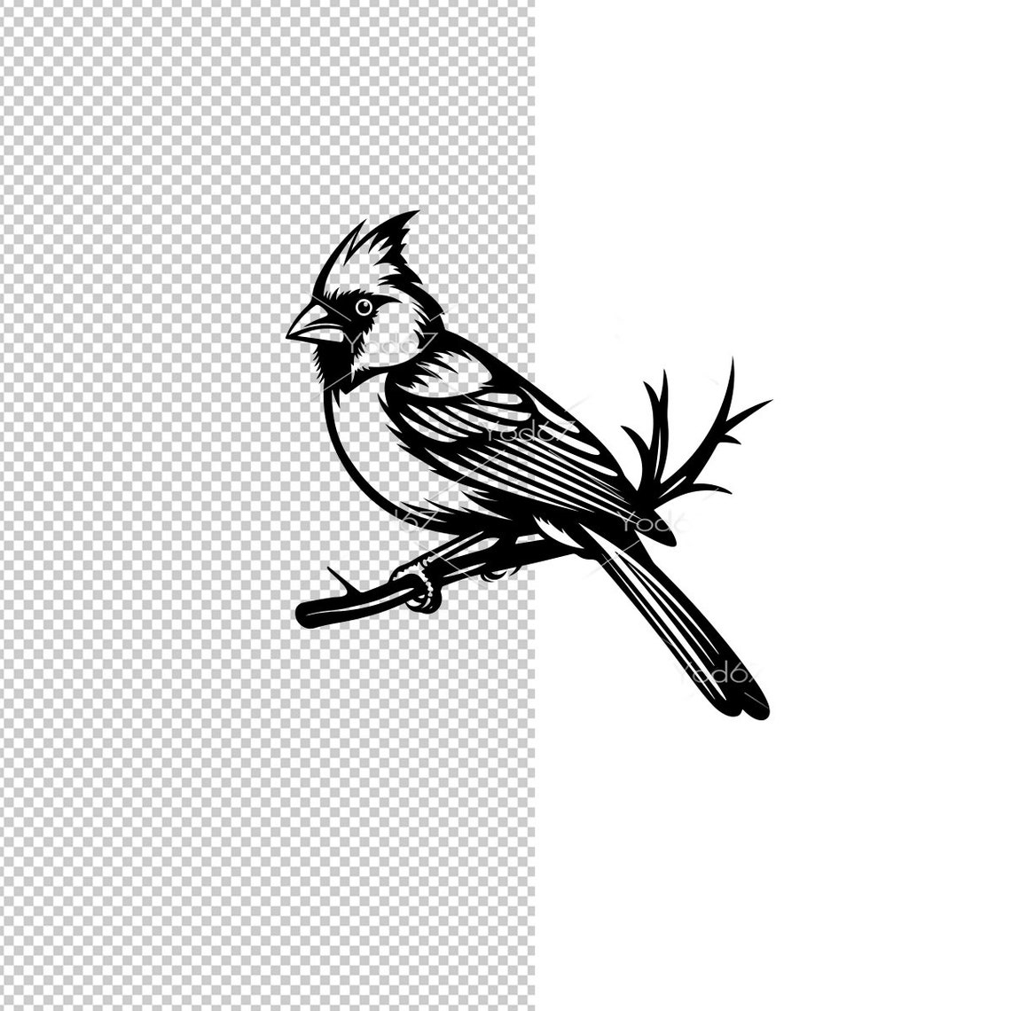 Northern Cardinal SVG, Cardinal Bird Design, Cvg Files for Cricut ...