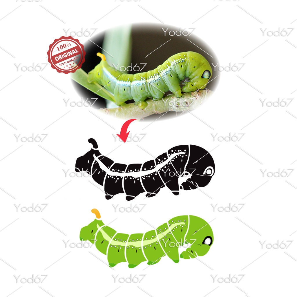 Caterpillar SVG Caterpillar Png Cut File Caterpillar for Cricut