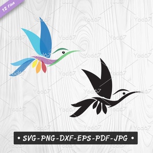 Hummingbird Vector Clipart: Colorful Flying Bird Design (SVG, PNG, PDF)