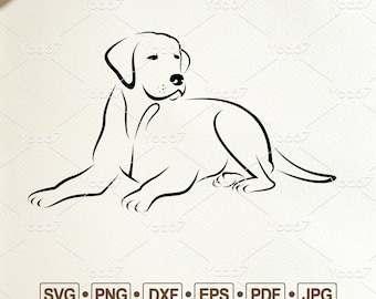 Labrador Svg, Labrador Crouching Svg, Labrador Retriever Clipart, Labrador Cut file, Pet Svg, Cute Dog Svg, Dog Clipart Design Vector EPS.
