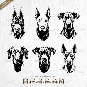 Great Dane Svg & Png, Cut File Great dane for Cricut, Great Dane Clipart Vector Design EPS DXF Pdf Jpg. Dog Head Svg, Dog Lover, Animal svg.