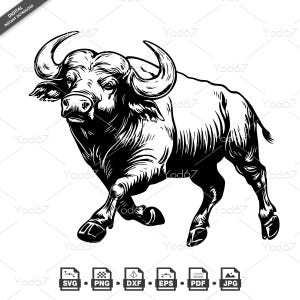 Op de afbeelding: Zwart-witte illustratie van een buffel die met zijn kop naar beneden naar voren stormt. De buffel heeft grote hoorns en een dikke vacht.