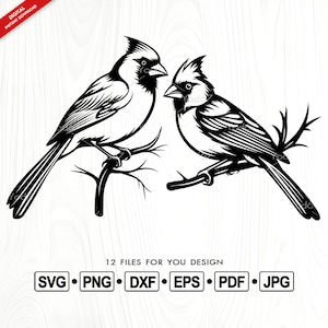 Noordelijke kardinaal SVG, kardinaal vogel Design, Cvg-bestanden voor cricut, kardinaal silhouet, noordelijke kardinaal Vector Clipart, vogel Svg, ambachten.
