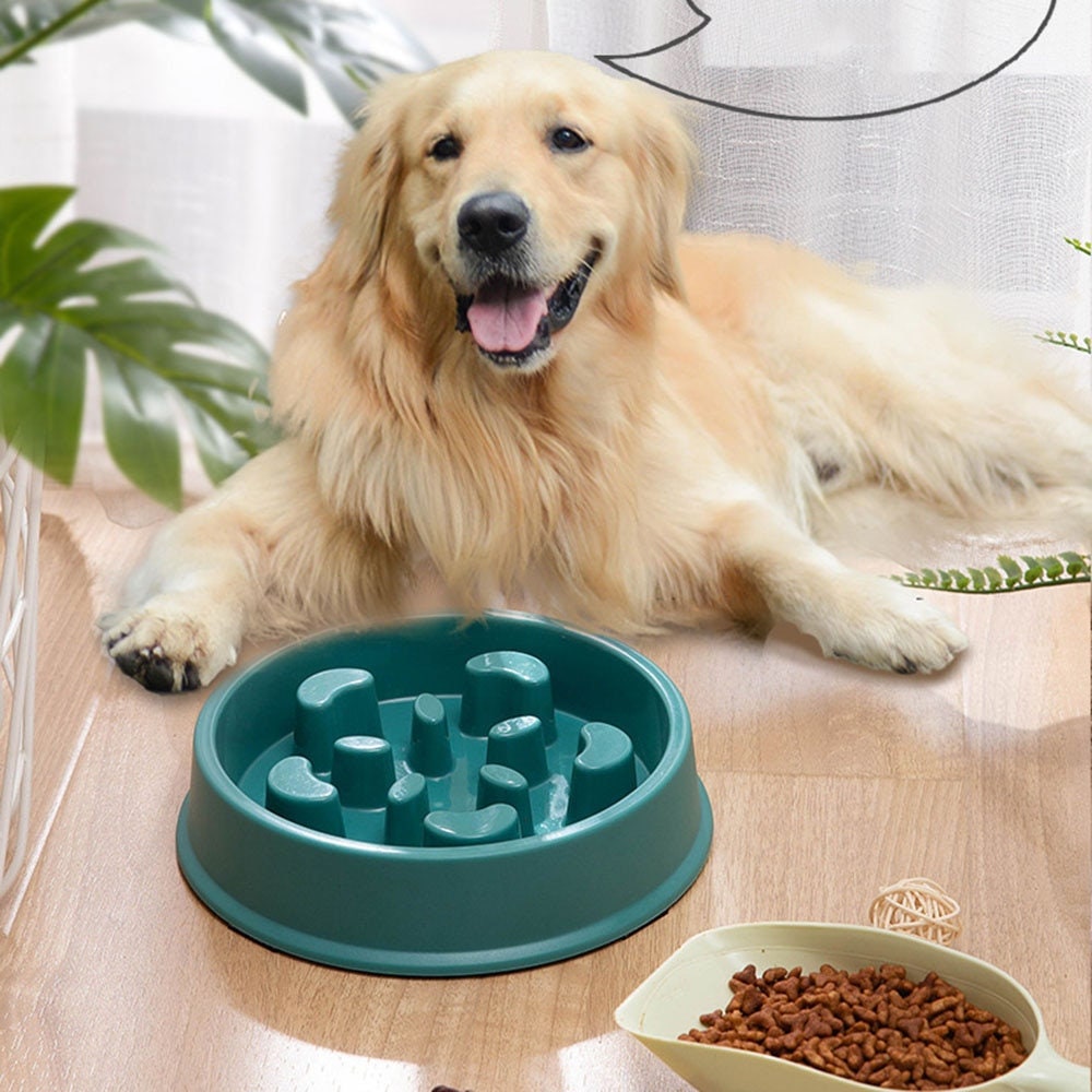 1pc Solid Pet Bowl, Dog Slow Food Bowl, Cats & Dogs No Choking Slow Feeder  Dog Bowls Puzzle Bowl