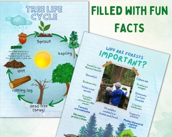 Forest School Education PDF Download Work Sheets/ Outdoor Crafts/ Nature Word Search/ Nature Crafts/ Nature Poetry for Kids