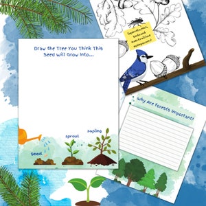 Bosschoolonderwijs/ Natuurtekenactiviteit/ Leuke natuurfeiten/ Vijverleven/ Vlinderlevenscyclus / Bijenlevenscyclus PDF DOWNLOAD