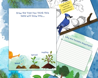 Forest School Education/ Nature Drawing Activity/ Fun Nature Facts/ Pond Life/ Butterfly Life Cycle / Bee Life Cycle PDF DOWNLOAD