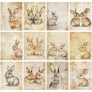 Scrappy Rabbit Cute Rabbit Ledger Paper Printable 12 Sheets Scrappy Bunny French ...