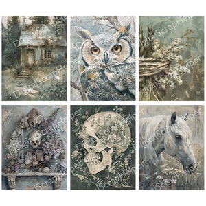 Pu&ograve; includere: Un collage digitale di sei immagini con un tema scuro, malinconico e stravagante. Le immagini includono un piccolo cottage in un bosco, un grande gufo con occhi gialli, uno scheletro con fiori che crescono al suo interno, un cavallo bianco in un campo e una natura morta con uno scheletro, fiori e un vaso.