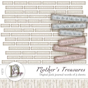 Baby Junk Journal Journal Journal Wörter 3 Blatt ausdruckbar Jungen Mädchen Kinder Babybuch Schwangerschaft Illustration #372