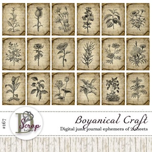 Carnets botaniques indésirables imprimables à 2 feuilles de cartes ATC vintage shabby chic basiques Essentiels neutres pour carnet de bord #167