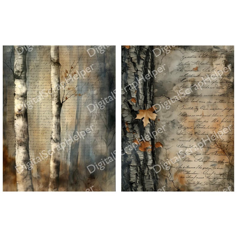 Tree Bark Paper Pack for Forest Junk Journals and Nature Collages ...