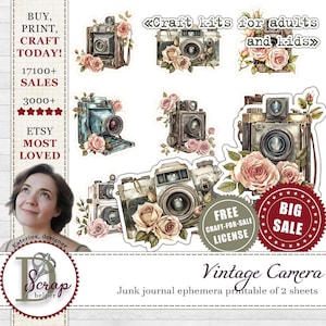 Pingeliger Schnitt Vintage Shabby Chic Kamera Sticker 2 Bögen Cottage Retro Basic Essentials Garden Roses Junk Journal Bedarf #791