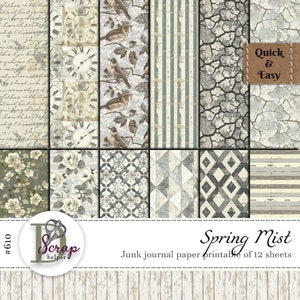 12 Blatt Frühlingsnebel Collage zum selbst ausdrucken Masterboard Scrappy Shabby Basic Basic Masculine Pergament Papier #610
