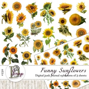 Sunflower sticker pack Sunflowers ephemera printable of 1 sheets Fussy cut Floral Botanical Fall Shabby chic junk journal supplies #230
