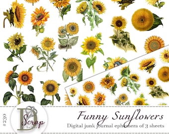 Sunflower stickers fussy cut for scrapbooking and cut out ephemera | Digital download | 230