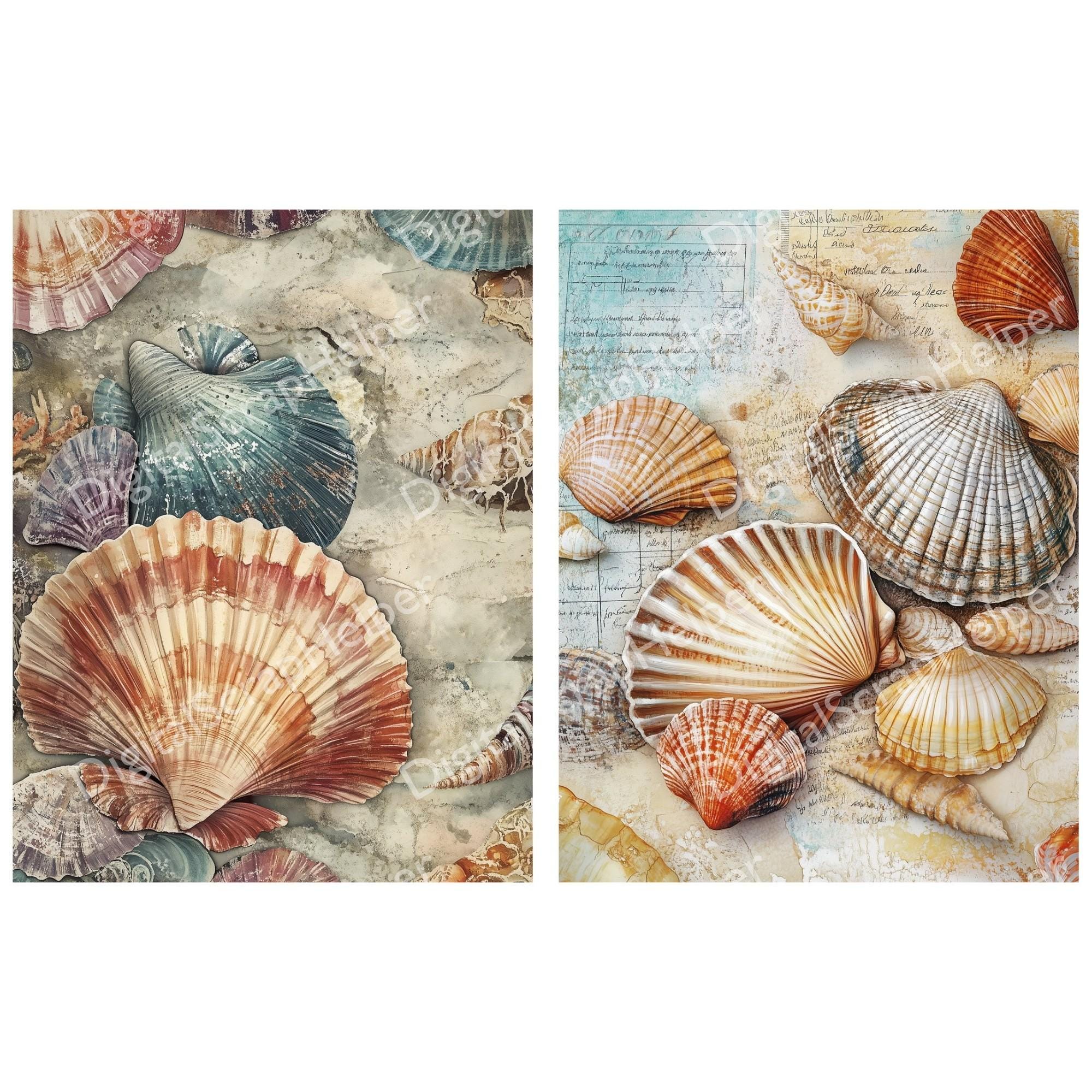 Shell Paper Collage Seashell Collage Sheets for Nautical Distressed Junk Journals and ...