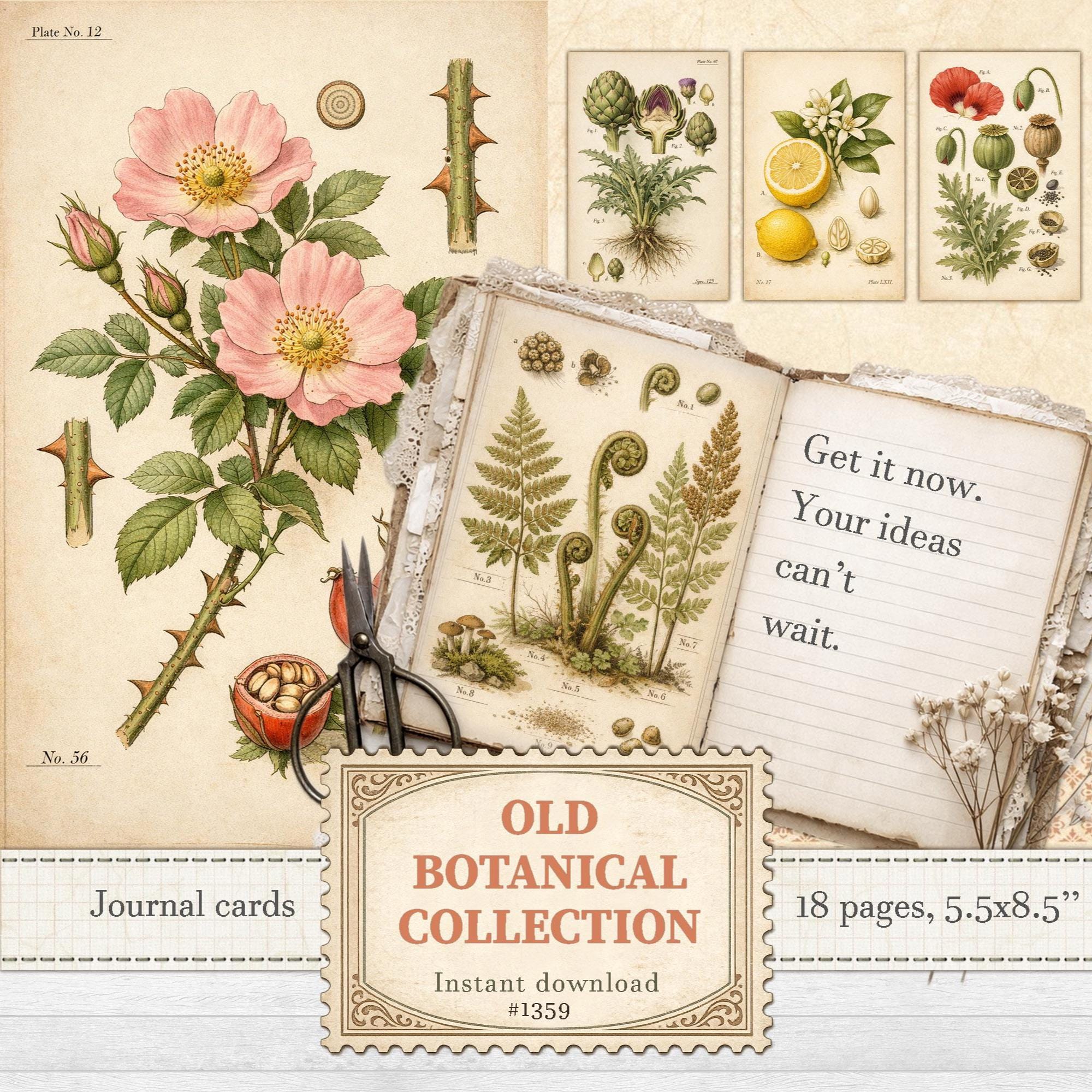 Botanical Encyclopedia - Etsy