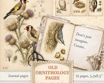 Vintage ornitologiska naturhistoriska fågelkort för ephemera och skräpjournaling | Digital nedladdning | 1355