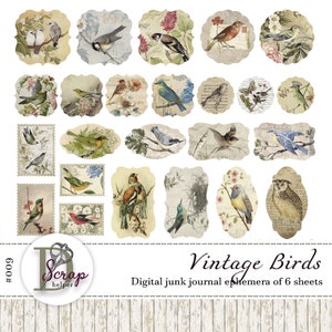 Junk Journal Ephemera (6 Blätter) zum Ausdrucken Natur Schwalbe Eule Vogel Naturalist Fauna Waldvogel #009