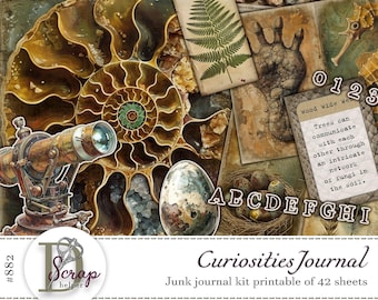 Può includere: Un kit di diario di scarto stampabile con 42 fogli che presenta una varietà di immagini, tra cui una conchiglia di nautilus, una felce, un'impronta di mano e un nido di uova. Il kit include anche il testo "Curiosities Journal" e "#882".