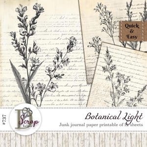 Neutraal botanisch papier afdrukbaar 12 vellen vintage botanisch leerpapier Botanische schets Shabby chic Cottagecore Basic Essentials #737