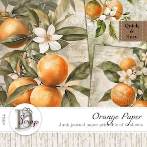 Orangener Traum Papier zum selbst ausdrucken auf 12 Blatt Papier, Früchte, Orangen, Orangen, Blüte, Scrappy Cottage, Pergamentpapier #664