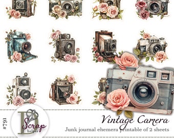 Shabby chic fussy cut Vintage camera stickers printable 2 sheets Cottage Retro Basic essentials Garden Roses junk journal supplies #791