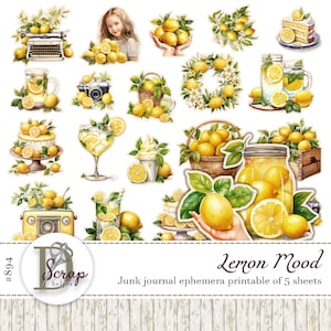 Diario basura vintage de limón, efímera, recortes quisquillosos, imprimible, 5 hojas, pegatinas retro de limón amarillo, suministros para diario de imágenes prediseñadas de limón n.° 894