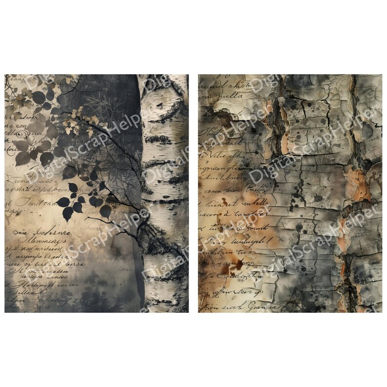 Tree Bark Paper Pack for Forest Junk Journals and Nature Collages ...