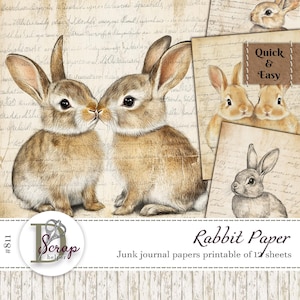 Süßes Kaninchen Ledger Papier 12 Blatt Scrappy Bunny Französische Kaninchen Ostern Basic Basics Pergamentpapier Freie kommerzielle Nutzung #811