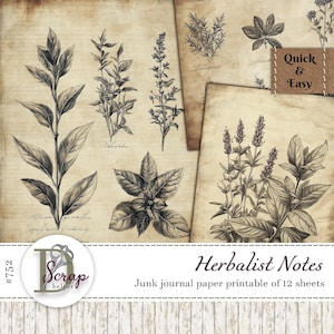 Papier à croquis botanique imprimable de 12 feuilles Masterboard Herbes Apothicaire Herbe médicinale Herboriste Papier parchemin Utilisation commerciale gratuite #752