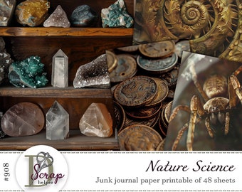 Cabinet of curiosities paper for natural history prints and naturalist junk journals | Digital download