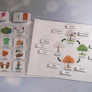 Four seasons sorting activity