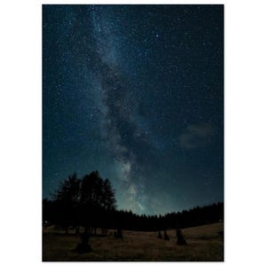 Galaxy Over Pines – Milky Way Night Sky Wall Art