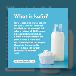 Organic Live Milk Kefir Grains Probiotics 1 Teaspoon Free Shipping Canada image 5