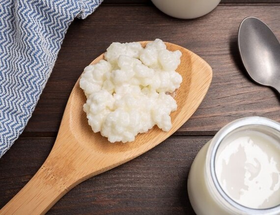 How to activate milk kefir grains